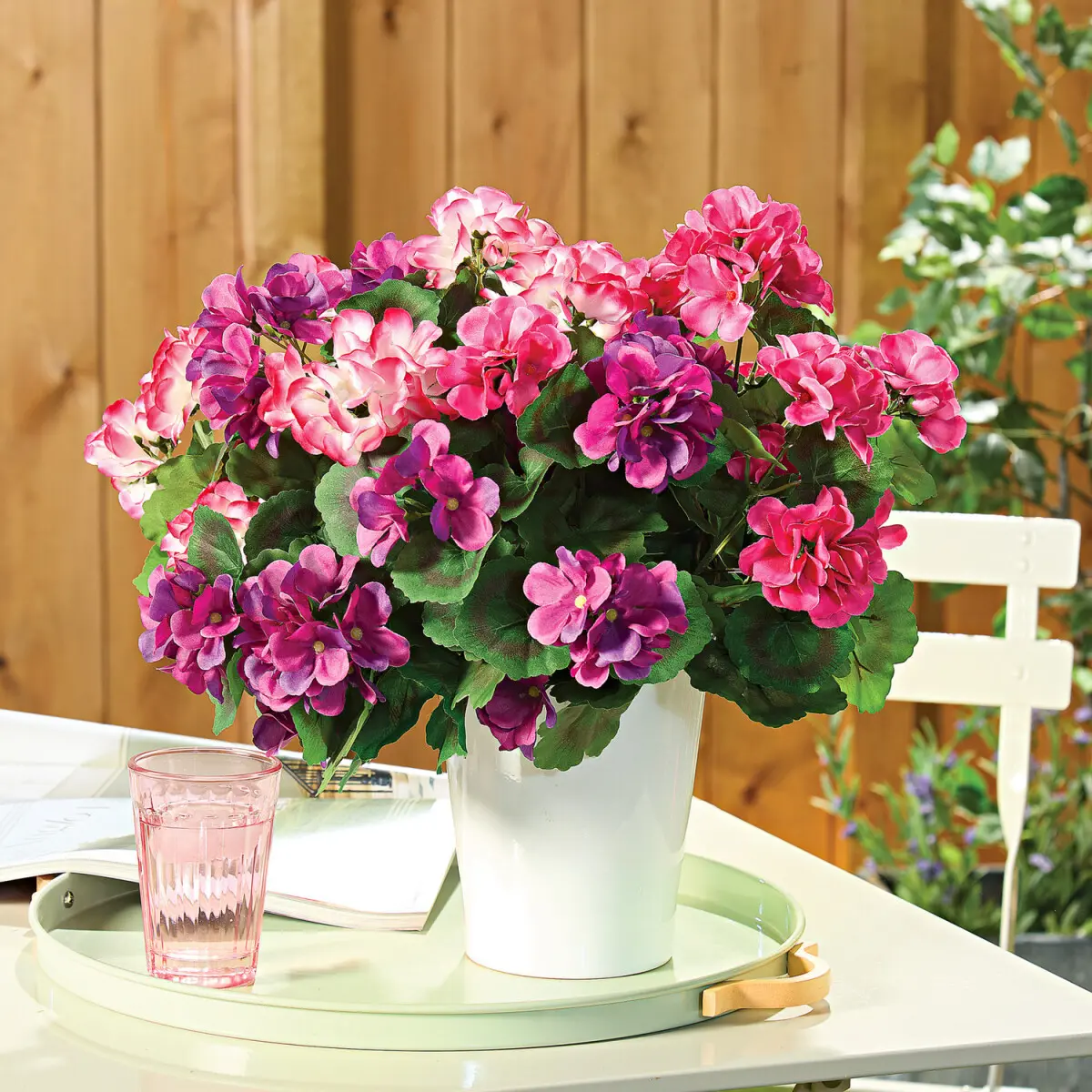 3 kytice XL pelargonií