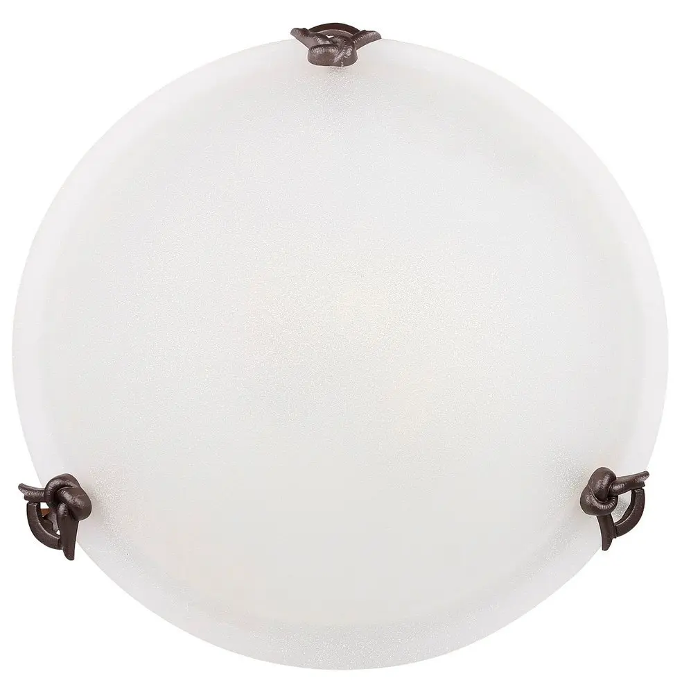 Stropní nástěnná lampa sklo 60W E27 40cm Eva