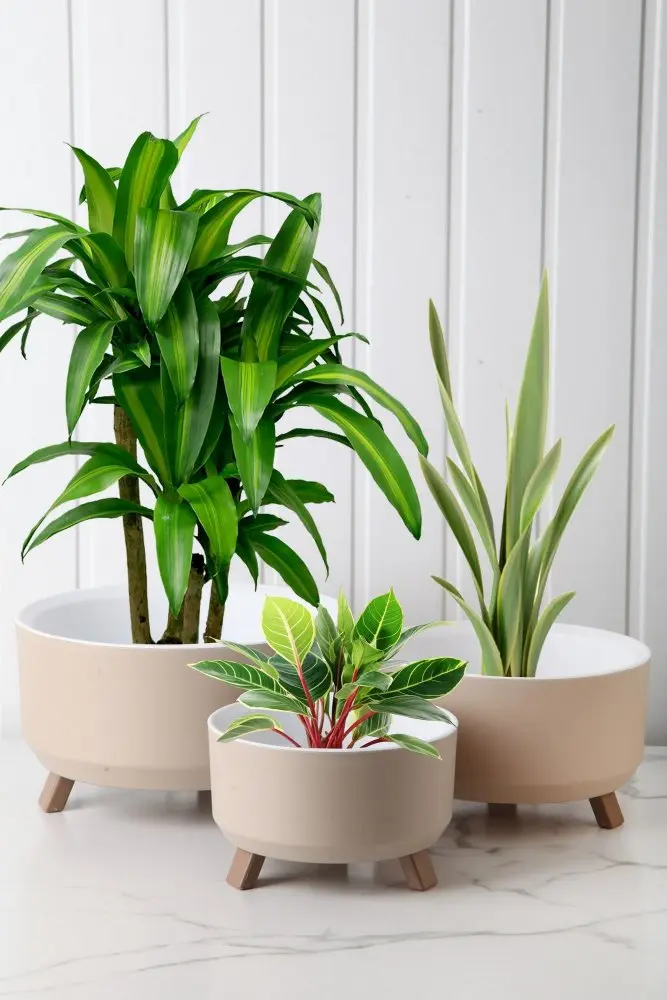 Vase Set TRPTSKS-3-3