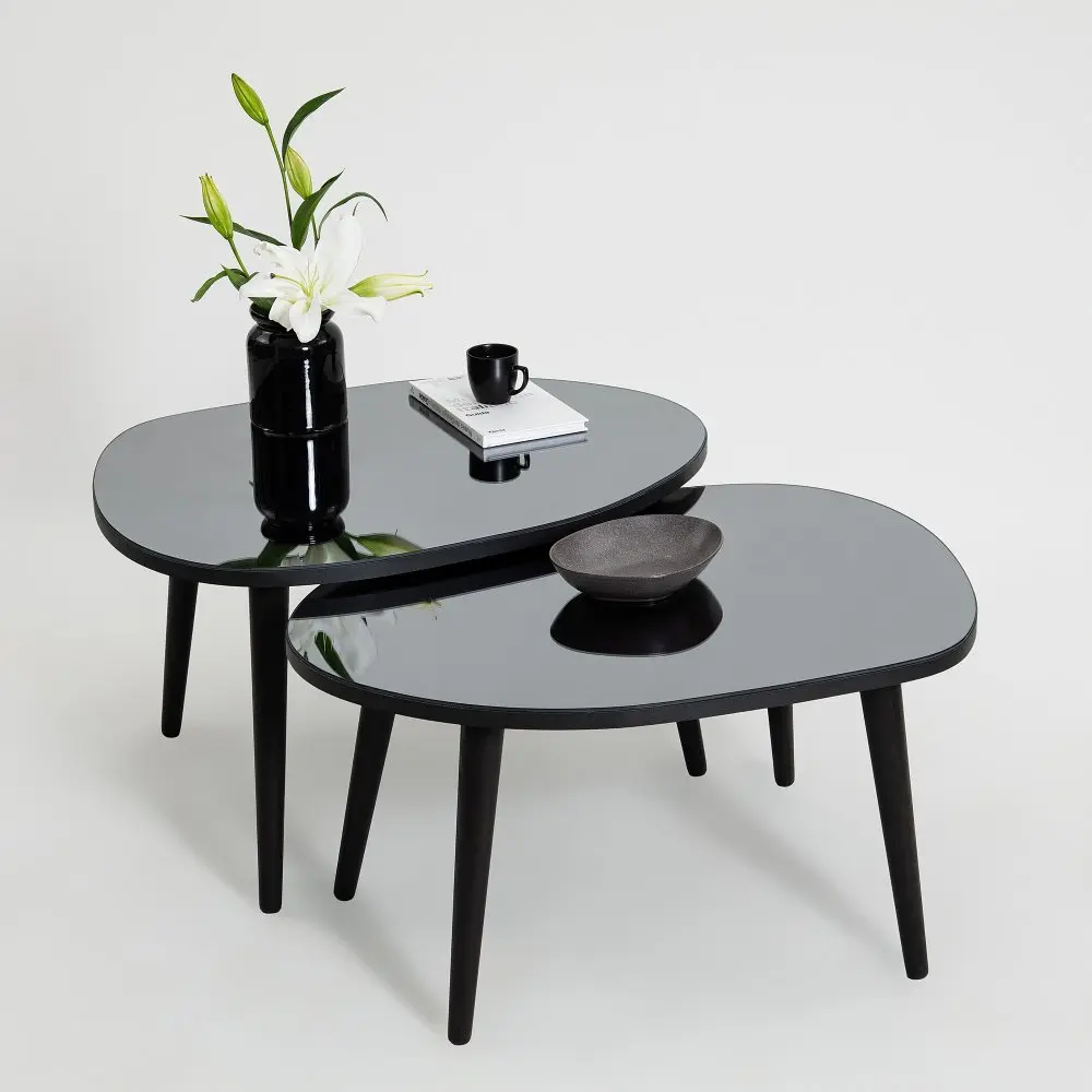 Sada odkládacích stolků (2 kusy) Gusto Set- Black, Fume