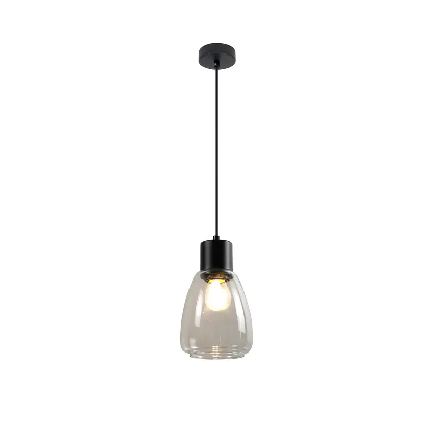Závěsné svítidlo MOLDO černé 1x40W E27 transparentní stínidlo