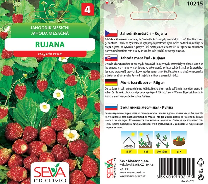 10215 Jahodník Rujana 0,2g / 1205