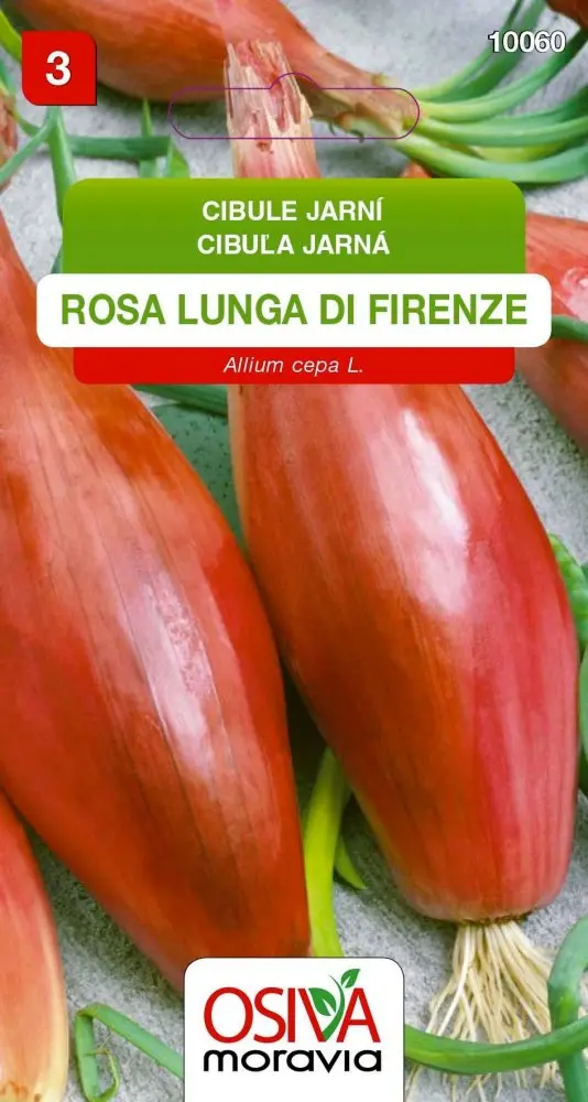 10060 Cibule Rosa di Firenze 1,5g / 1203