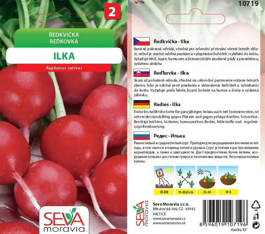 10719 Ředkvička Ilka 5g / 2801