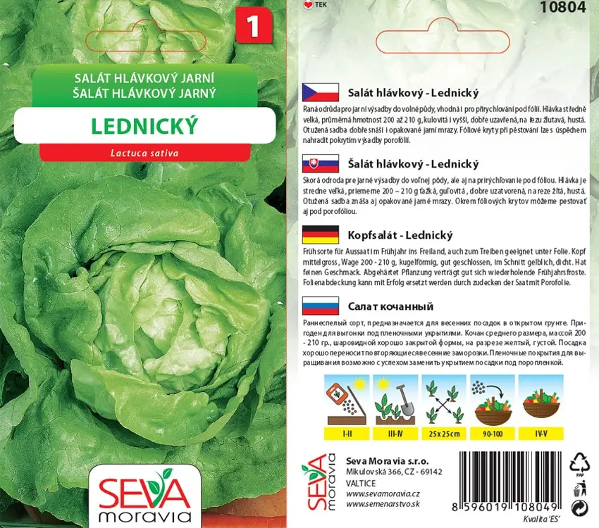 10804 Salát Lednický 0,5g / 3102