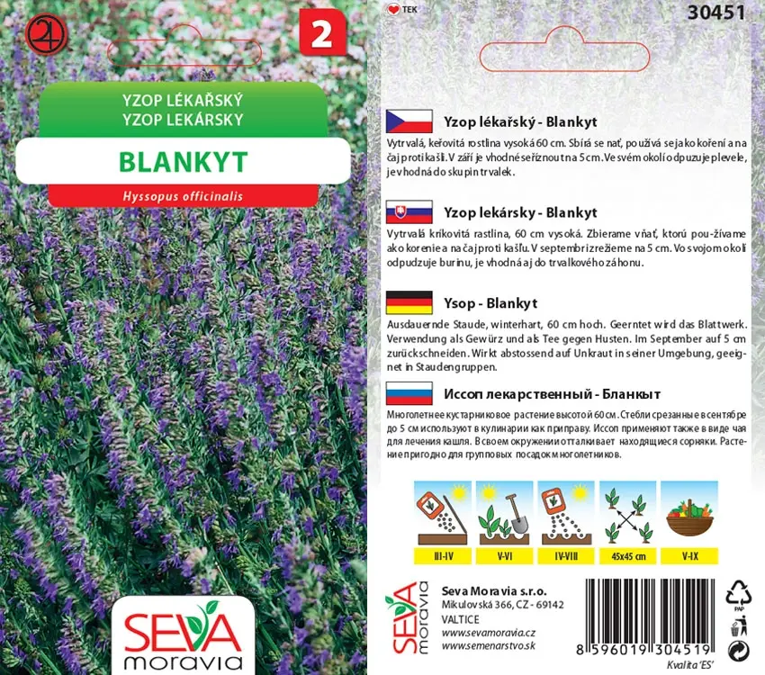 30451 Yzop lékařský 0,2g / 3709