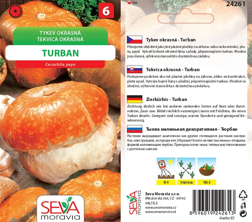 24261 Okrasné tykvičky Turban 10s / 3801