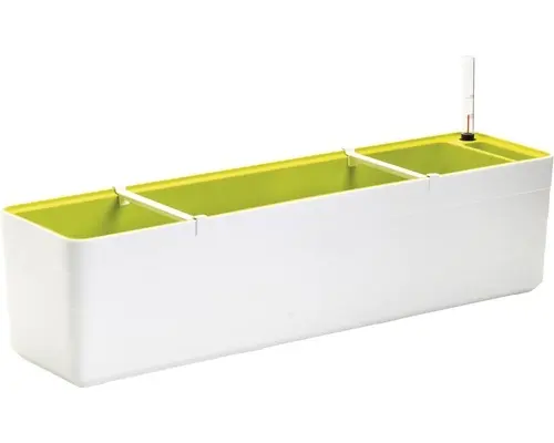 Truhlík Berberis 80 cm Bílá + Zelená