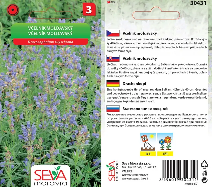 30431 Včelník moldavský 0,7g / 3707