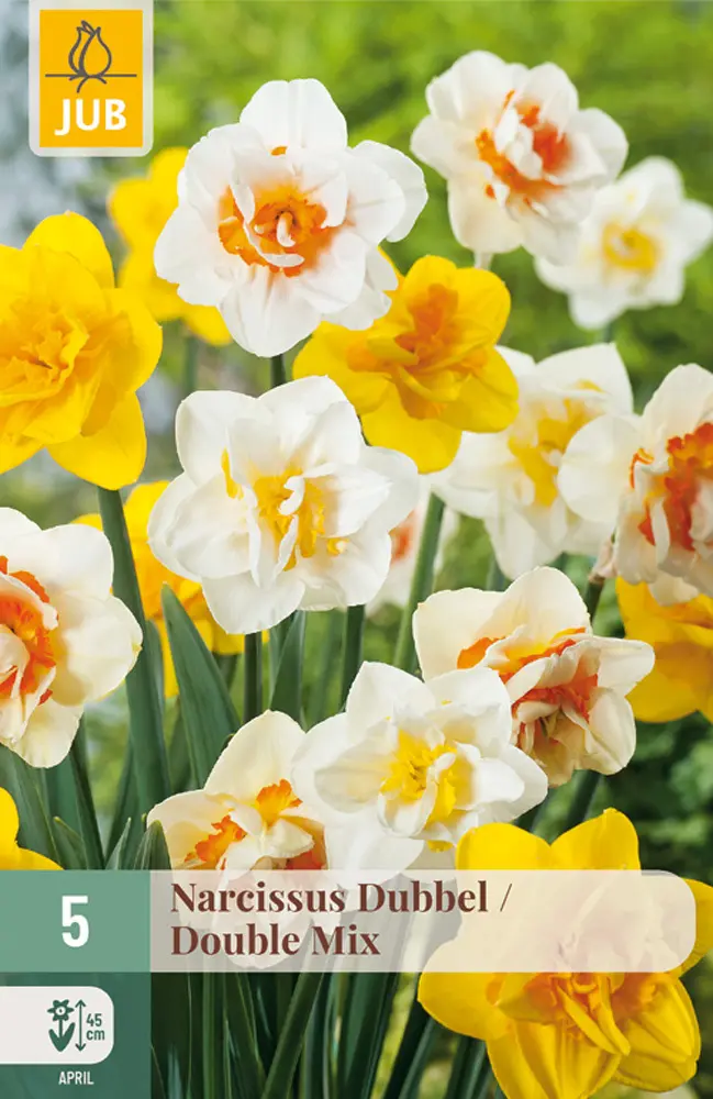 Narcis Double Mix 5 ks