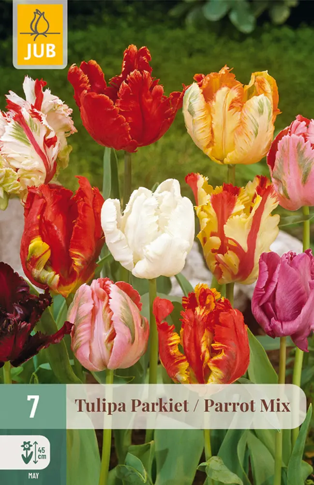 850339/8305 Tulipány papouškovité směs 7ks