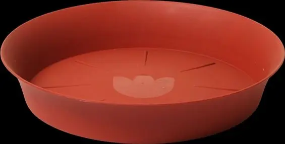 podmiska d20cm TER TULIPÁN