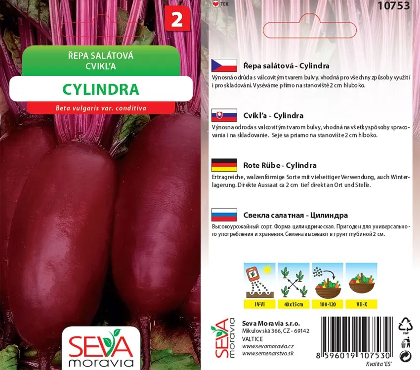 10753 Řepa salátová Cylindra 4g / 2902