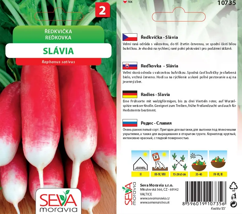 10735 Ředkvička Slávia 5g / 2803