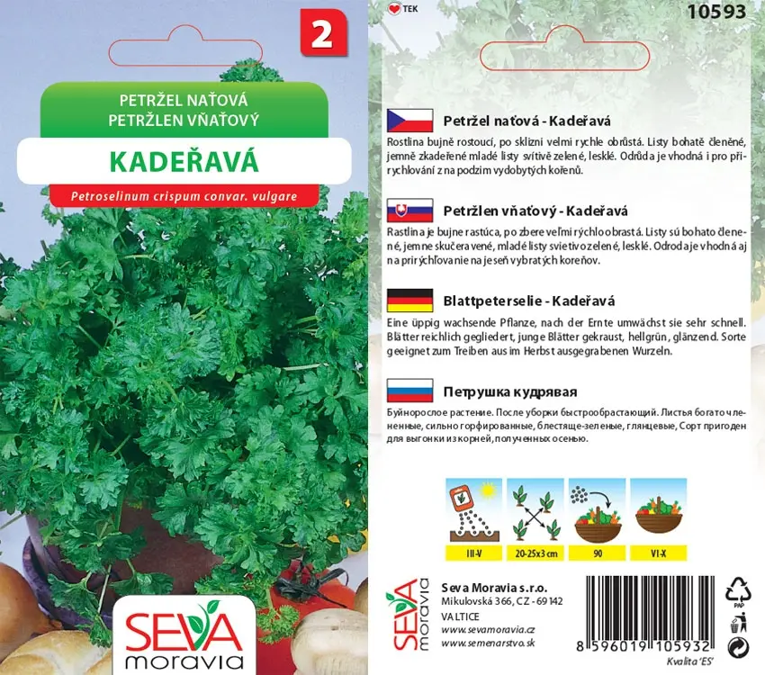 10593 Petržel naťová Kadeřavá 2g / 2411