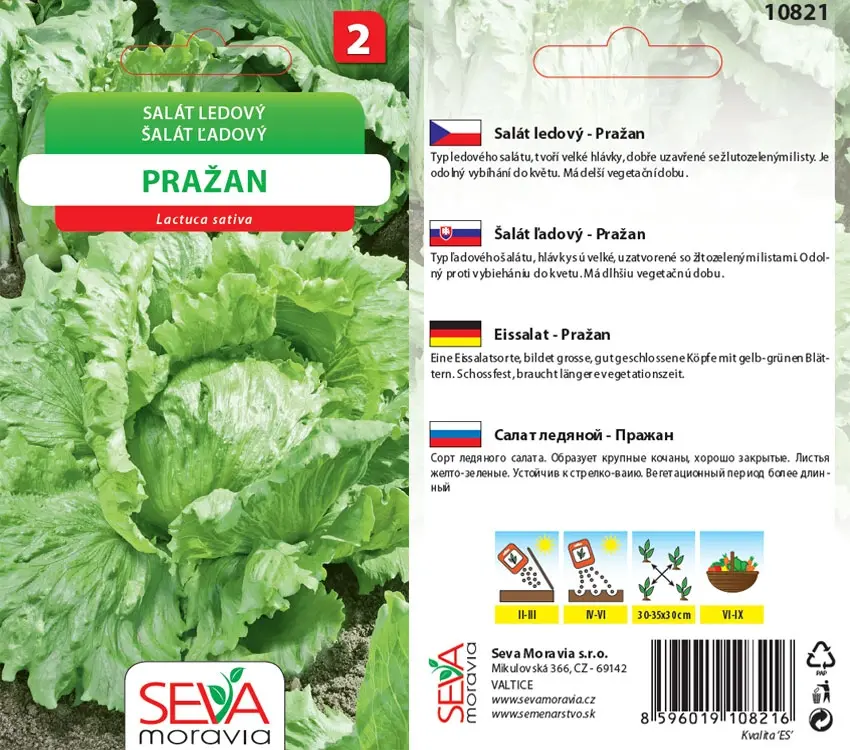 10821 Salát Pražan 0,3g / 3110
