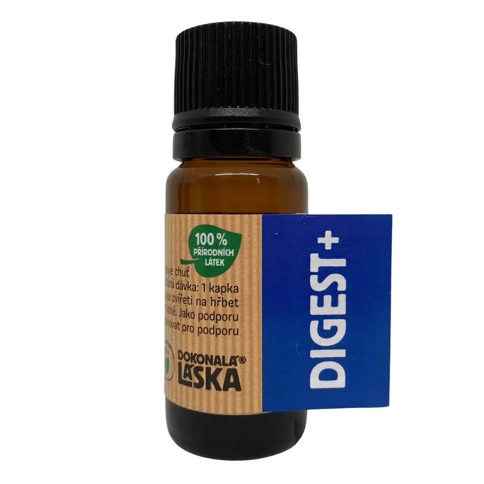Dokonalá Láska DIGEST+