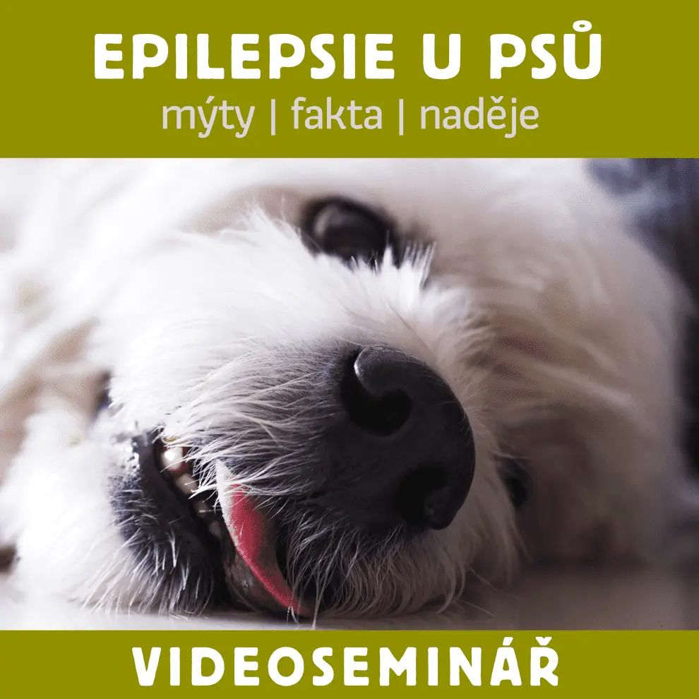 Dokonalá Láska VIDEOSEMINÁŘ – EPILEPSIE U PSA