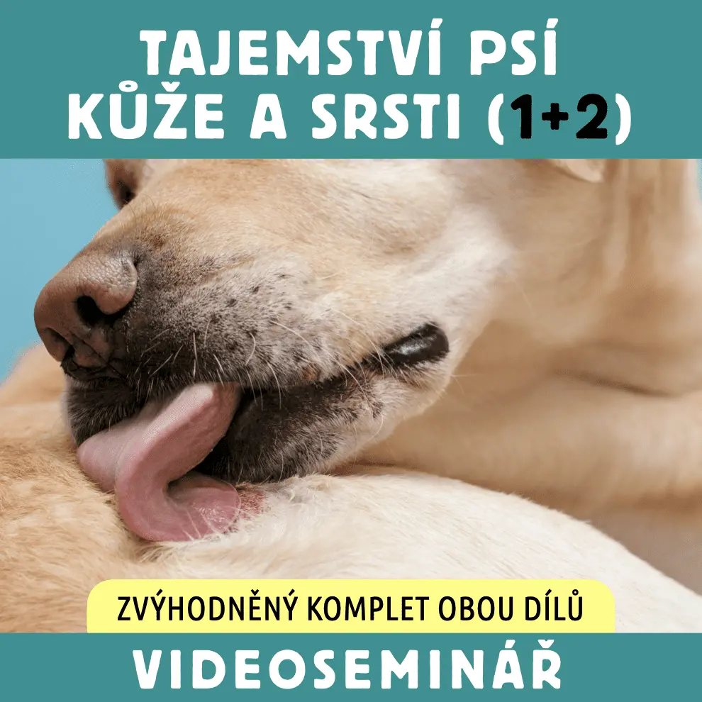 Dokonalá Láska VIDEOSEMINÁŘ TAJEMSTVÍ PSÍ KŮŽE A SRSTI 1 + 2 / Zvýhodněný set