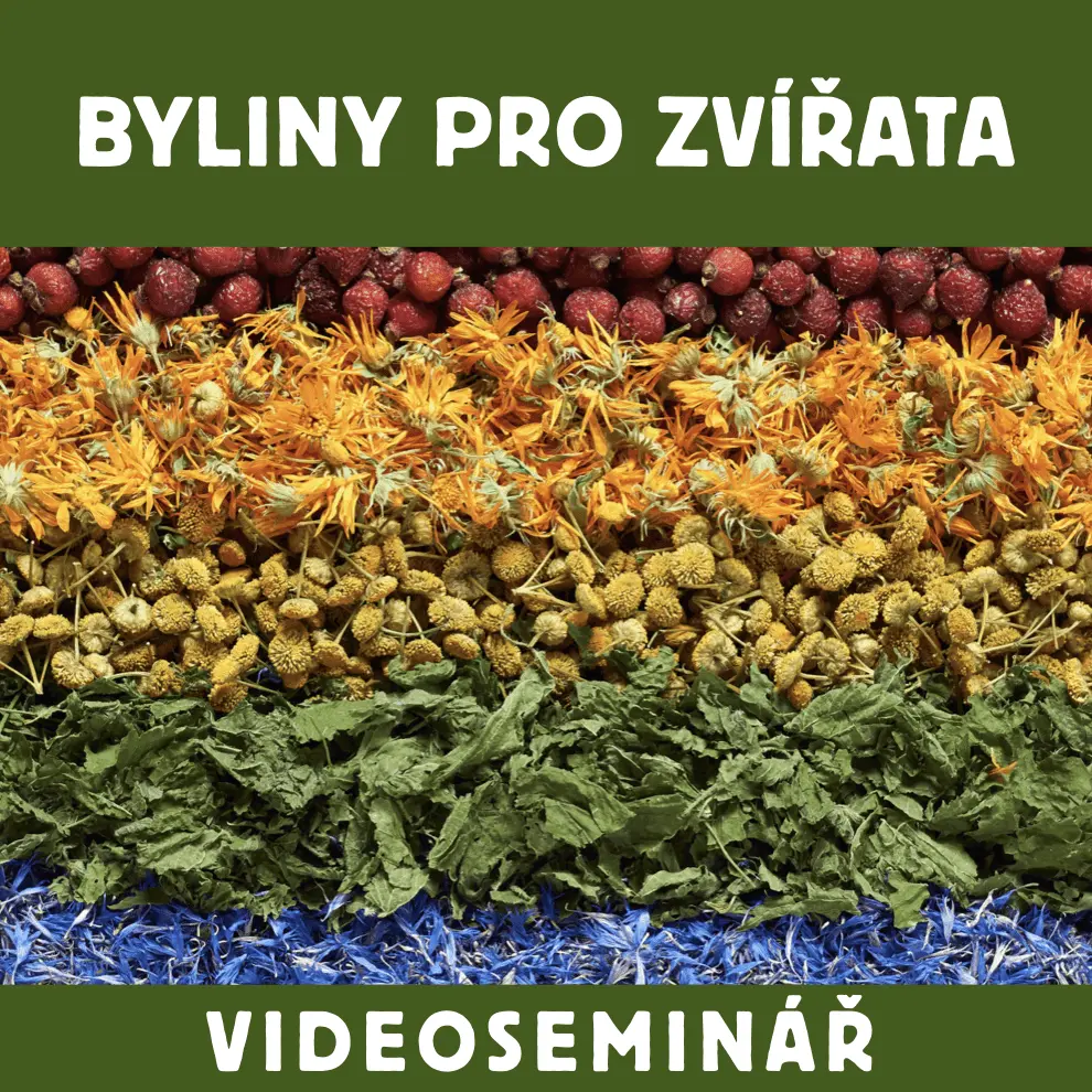 Dokonalá Láska VIDEOSEMINÁŘ - BYLINY PRO ZVÍŘATA