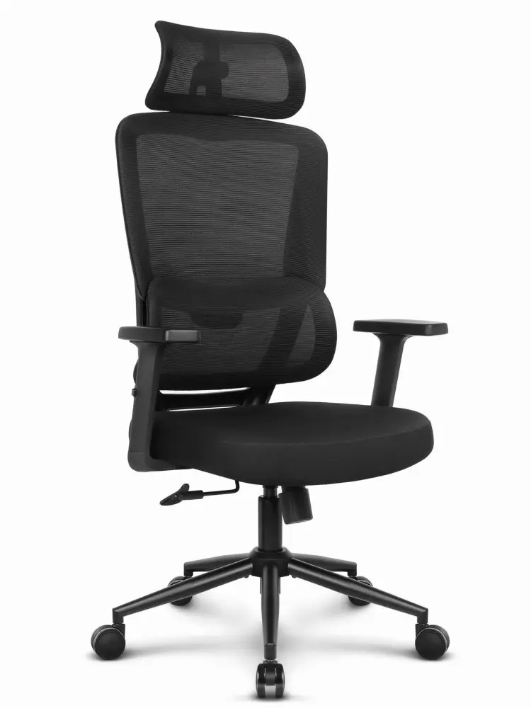 Ergonomická kancelářská židle CABRO C506 s opěrkou hlavy a bederní opěrkou, do 150 kg, černá