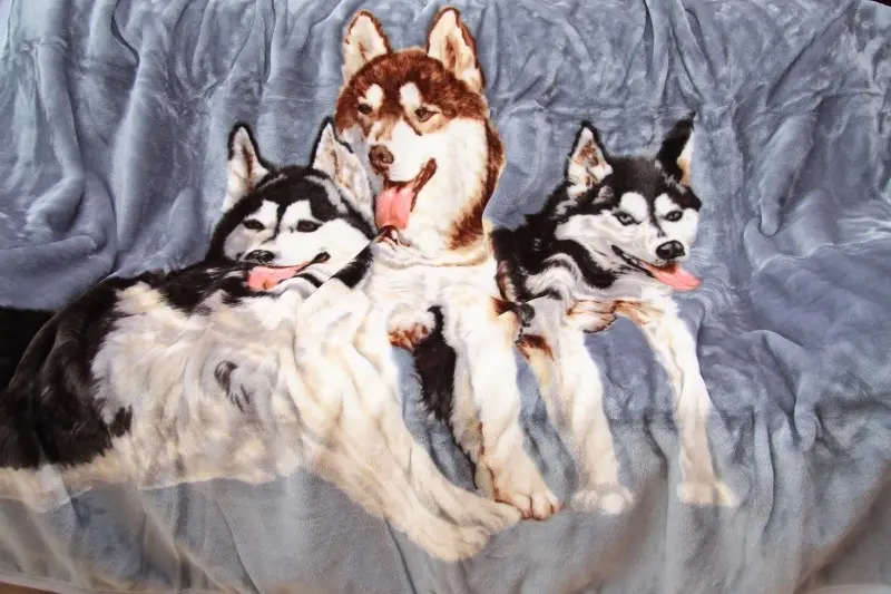 Šedá deka s motivem husky Šířka: 160 cm | Délka: 210 cm