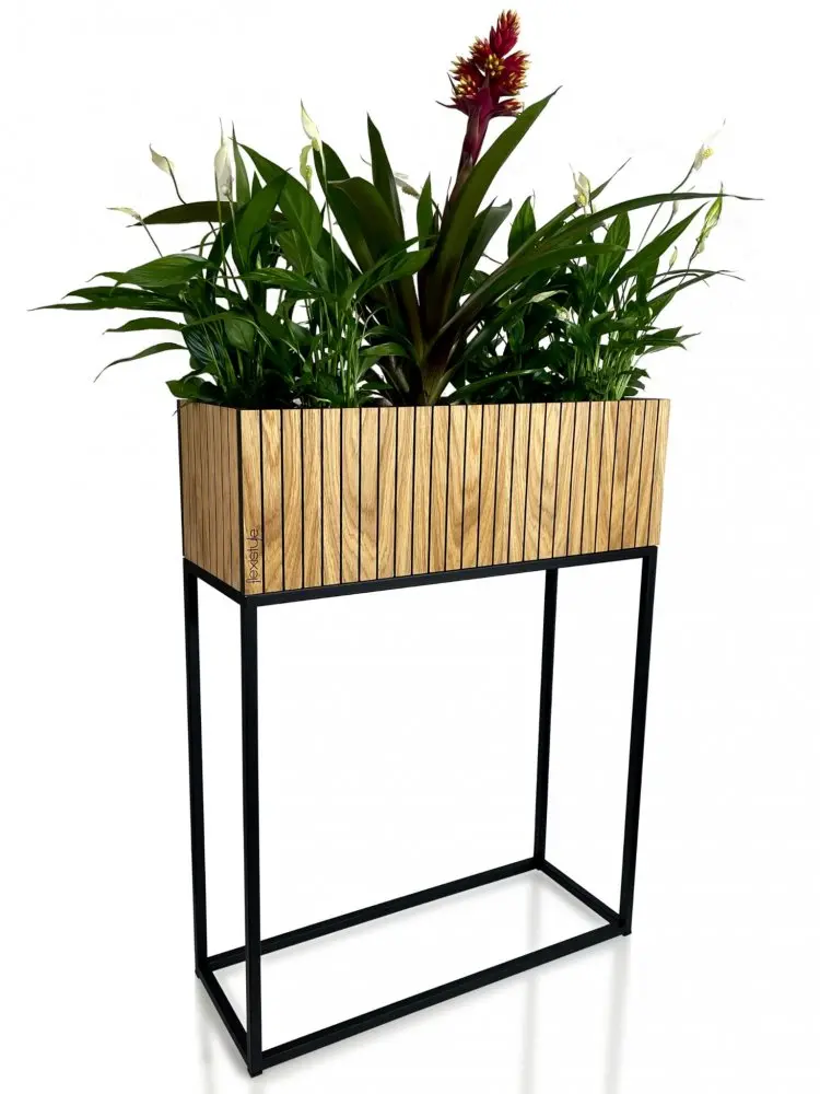 Vysoký květináč z přírodní dubové dýhy LOFT FIORINO 62X22X80 cm