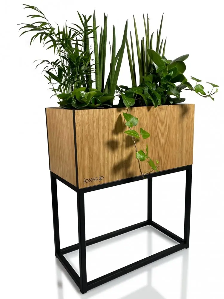 Dekorační květináč z hladkého přírodního dubu LOFT FIORINO 42X22X50 cm