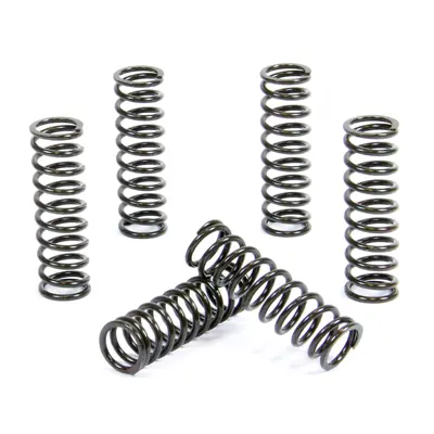 PROX spojkové pružiny YAMAHA YZF 450 07-17, YFM 700 RAPTOR 06-19 (PROX spojkové pružiny YAMAHA YZF 450 07-17, YFM 700 RAPTOR 06-19)