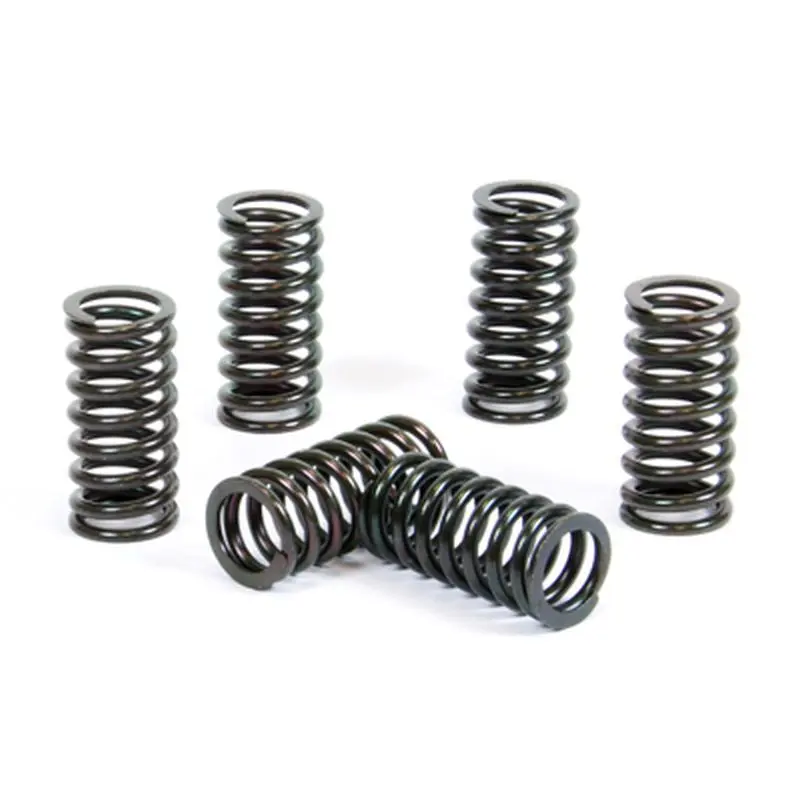 PROX spojkové pružiny SUZUKI RM 250 98-05 (EBS091) (PROX spojkové pružiny SUZUKI RM 250 98-05 (EBS091))