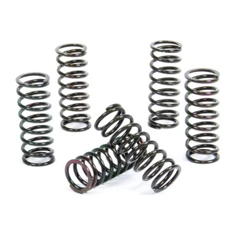 PROX spojkové pružiny SUZUKI DRZ 400 00-20, LT-Z 400 03-18 (PROX spojkové pružiny SUZUKI DRZ 400 00-20, LT-Z 400 03-18)
