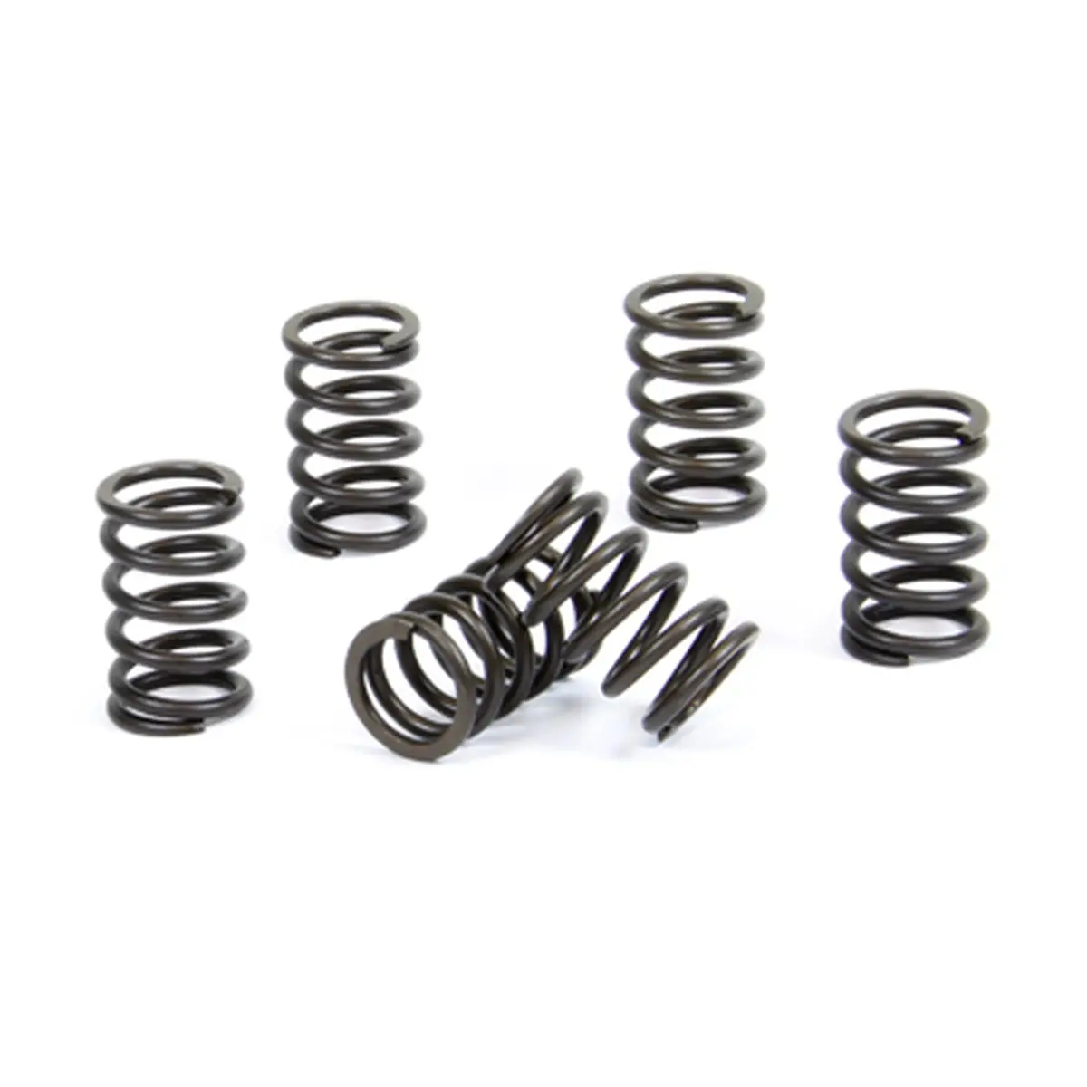 PROX spojkové pružiny KTM SX 65 00-08 (PROX spojkové pružiny KTM SX 65 00-08)