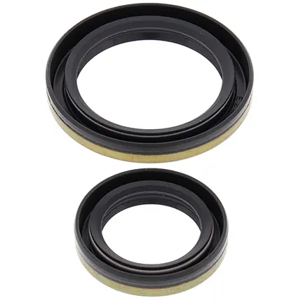 ALL BALLS těsnění klikové hřídele SUZUKI RM250 96-02 (ALL BALLS těsnění klikové hřídele SUZUKI RM250 96-02)