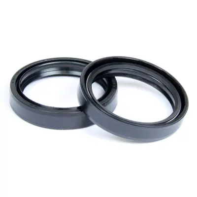 PROX gufera vidlice KTM SX 85 03-17, FREERIDE 250R 14-17, 350 12-15, E-SM/E-SX/E-XC 15-20 43X52,9X9mm (ARI158) (40.F4352.99P) (10 kusů) (PROX gufera)