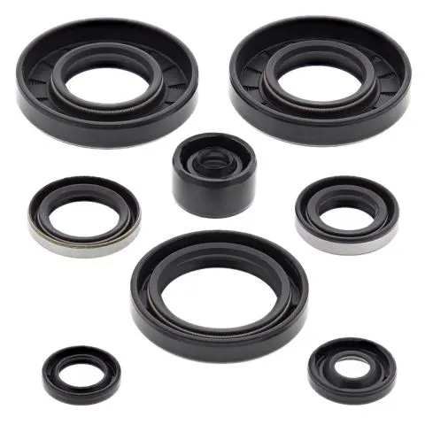 WINDEROSA (VERTEX) sada těsnění motoru KAWASAKI KX 65 00-19 (WINDEROSA (VERTEX) sada těsnění motoru KAWASAKI KX 65 00-19)