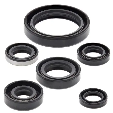 WINDEROSA (VERTEX) sada těsnění motoru KAWASAKI KLX250R 94-96, KLX250S 06-18, KLX250SF 09-10, KLX300(R) 97-07 (WINDEROSA (VERTEX) sada těsnění motoru)
