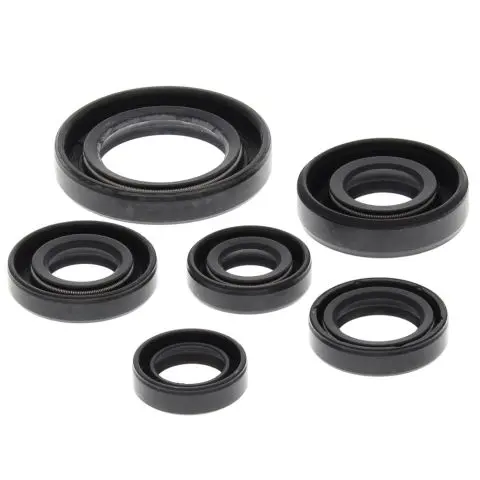 WINDEROSA (VERTEX) sada těsnění motoru HONDA TRX300 EX 93-08, TRX300 X 09 (WINDEROSA (VERTEX) sada těsnění motoru HONDA TRX300 EX 93-08, TRX300 X 09)
