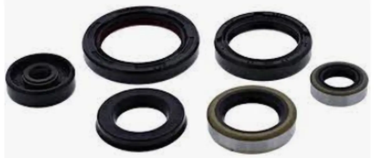 WINDEROSA (VERTEX) sada těsnění motoru YAMAHA YZ250(YZ 250) 01 (WINDEROSA (VERTEX) sada těsnění motoru YAMAHA YZ250(YZ 250) 01)