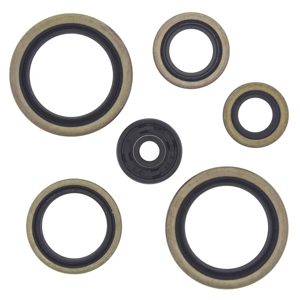 WINDEROSA (VERTEX) sada těsnění motoru KTM SX125 98-14, EXC125 98-14, SX/EXC200 98-14, SX144/150 07-14 (WINDEROSA (VERTEX) sada těsnění motoru KTM)