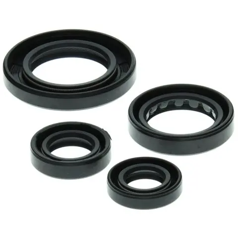 WINDEROSA (VERTEX) sada těsnění motoru HONDA TRX250 RECON 97-01 (WINDEROSA (VERTEX) sada těsnění motoru HONDA TRX250 RECON 97-01)