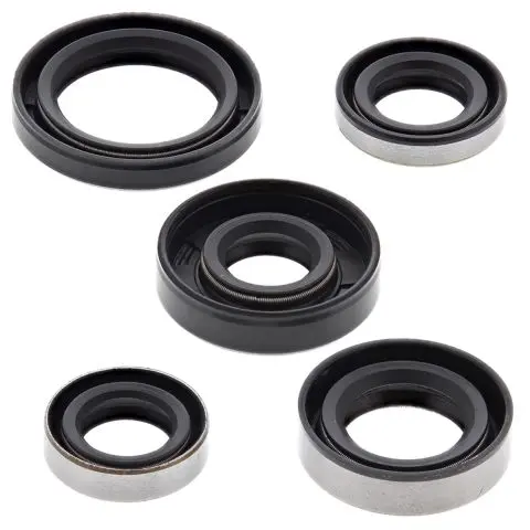 WINDEROSA (VERTEX) sada těsnění motoru KAWASAKI KLX110 02-20, KLX110L 10-20, SUZUKI DRZ110 03-06 (WINDEROSA (VERTEX) sada těsnění motoru KAWASAKI)