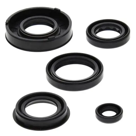 WINDEROSA (VERTEX) sada těsnění motoru ARCTIC CAT 50 Y-6 04-05, 90 2-STROKE 02-04, 90 UTILITY 2X4 06, CAN-AM DS 50 02-04, QUEST 50 03 (WINDEROSA)