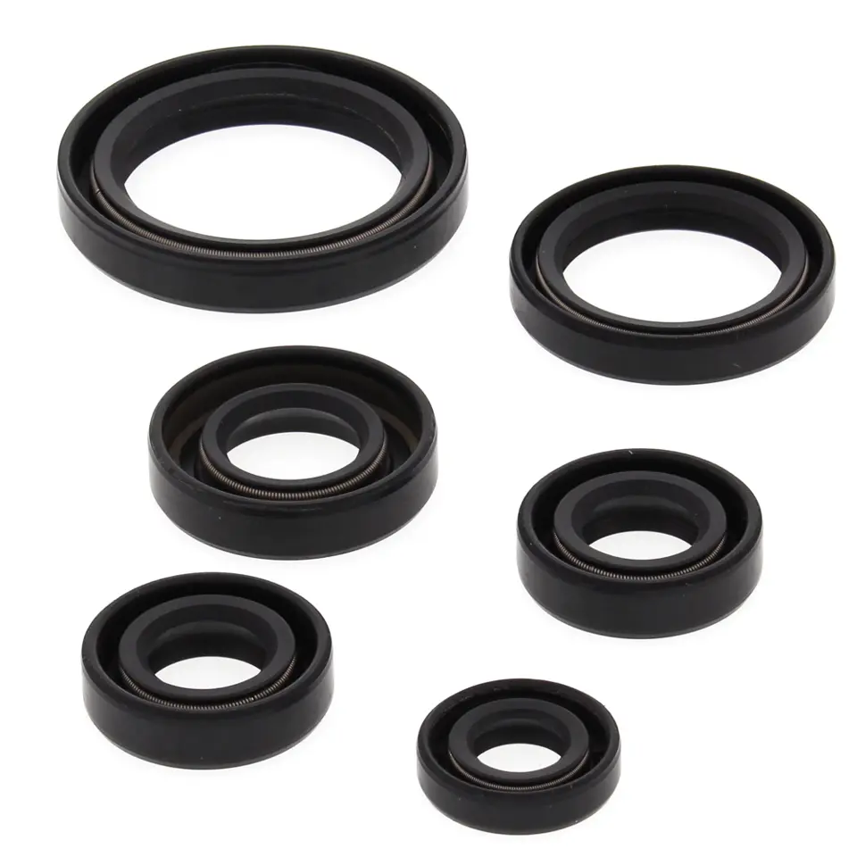WINDEROSA (VERTEX) sada těsnění motoru KAWASAKI KEF300 LAKOTA 95-03, POLARIS 450 HO 2X4 MD 16 (WINDEROSA (VERTEX) sada těsnění motoru KAWASAKI KEF300)