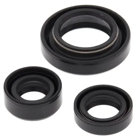 WINDEROSA (VERTEX) sada těsnění motoru SUZUKI LT-F250 OZARK 02-14, LT-Z250 04-09 ( )