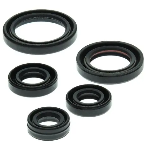 WINDEROSA (VERTEX) sada těsnění motoru YAMAHA YFM50 RAPTOR 04-08 (WINDEROSA (VERTEX) sada těsnění motoru YAMAHA YFM50 RAPTOR 04-08)