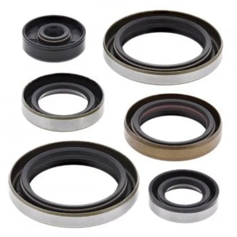 WINDEROSA (VERTEX) sada těsnění motoru SUZUKI RM250 06-08 (WINDEROSA (VERTEX) sada těsnění motoru SUZUKI RM250 06-08)