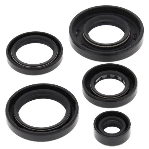 WINDEROSA (VERTEX) sada těsnění motoru ARCTIC CAT 650 4X4 H1 07-11, 650 H1 LTD 05-07, 650 H1 MUDPRO 10-11, 650 TRV 07-08, 650 TRV LTD 07 (WINDEROSA)