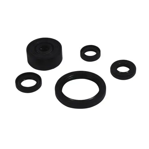 WINDEROSA (VERTEX) sada těsnění motoru YAMAHA WR 250R DUAL SPORT 18-22 (WINDEROSA (VERTEX) sada těsnění motoru YAMAHA WR 250R DUAL SPORT 18-22)
