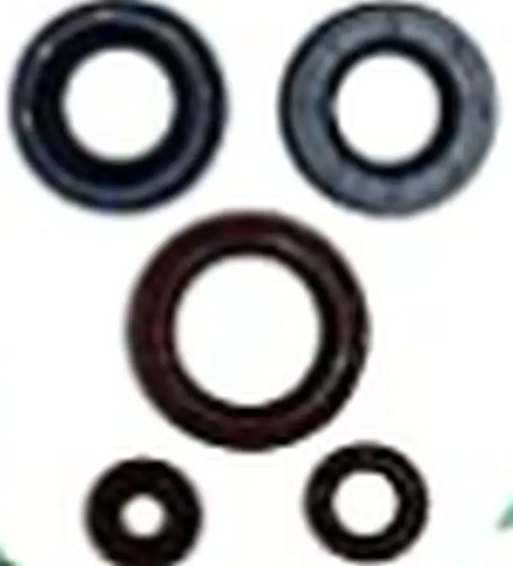 WINDEROSA (VERTEX) sada těsnění motoru CAN-AM OUTLANDER DPS 450 EFI 15-20, OUTLANDER MAX DPS 450 EFI 15-20, DEFENDER 500 17-20, DEFENDER 500 DPS