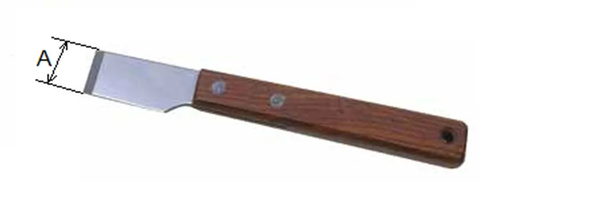 BUZZETTI škrabka z nerezové oceli A = 10mm (BUZZETTI škrabka z nerezové oceli A = 10mm)